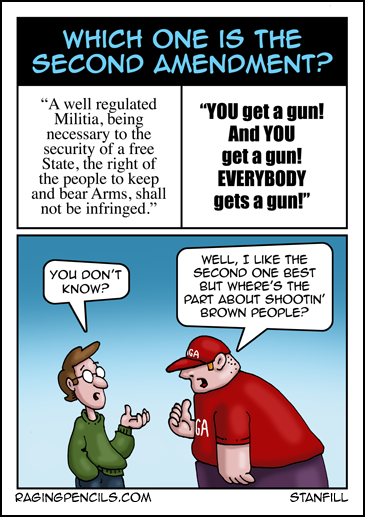 Progressive comic about ignorance of the second amendment
