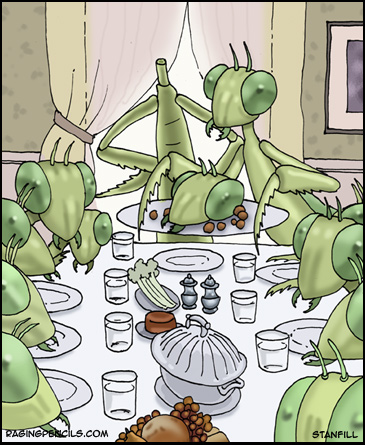 the mantis family at thanksgiving