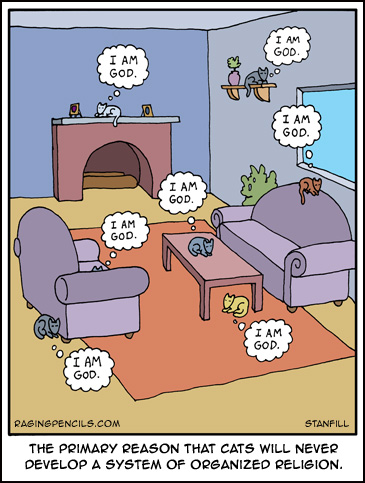 The primary reason that cats will never develop a system of organized religion.