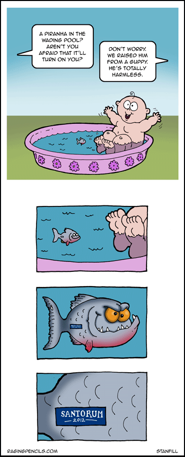 Piranha in the wading pool.