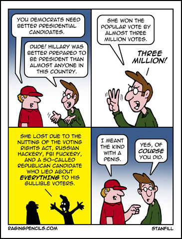 The progressive web comic about the myth of better democratic candidates.