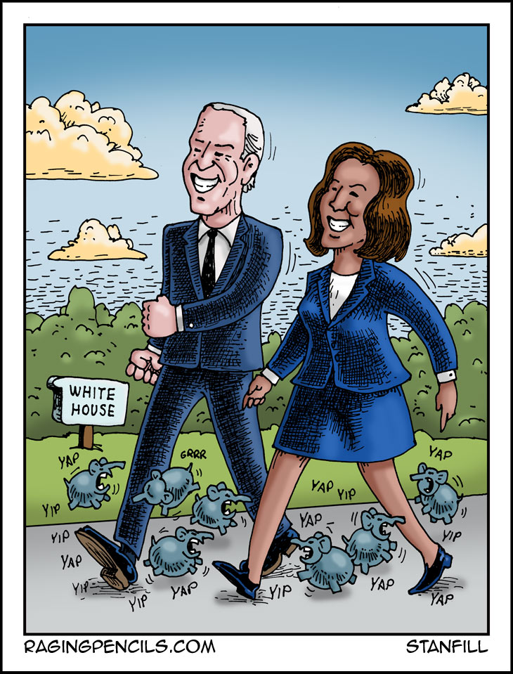 The progressive web comic about Joe Biden and Kamala Harris entering the White House.