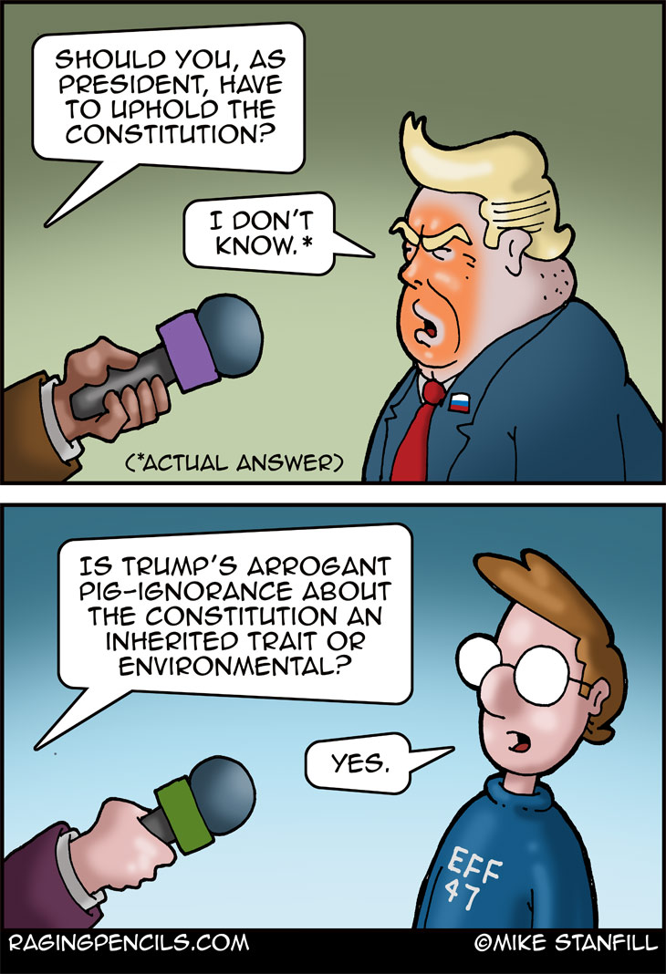 The progressive comic about Trump being a Constitutional dumbass.