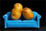 couch potatos