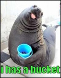 i has a bucket