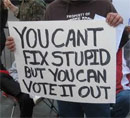 vote stupid out