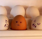 racist eggs
