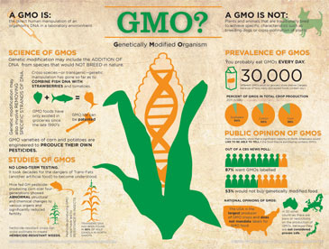 what is a GMO?