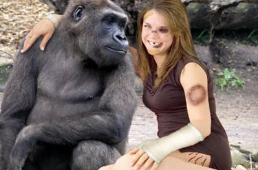 girl and a gorilla