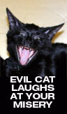 Evil cat