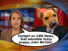 john McCain fuzzy puppy