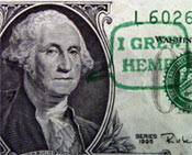 George Washington grew hemp