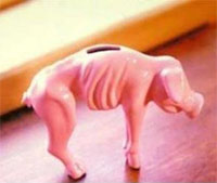 skinny piggy bank