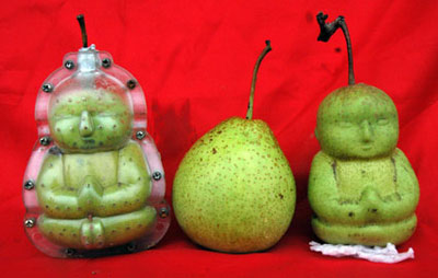 buddha pear